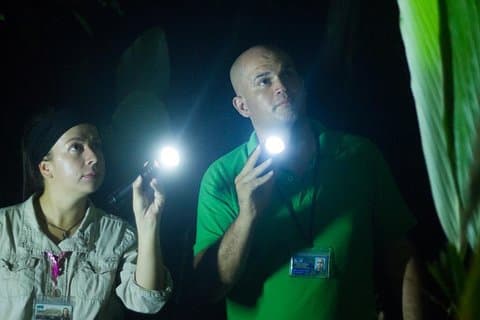 Kleine Gruppe Tortuguero National Park Night Walk in Costa Rica