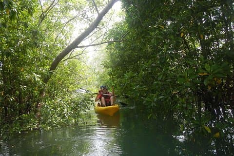 Singapore Paddle to Pedal Adventure in Pulau Ubin
