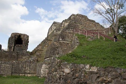 Altun Ha & Baboon Sanctuary depuis Caye Caulker