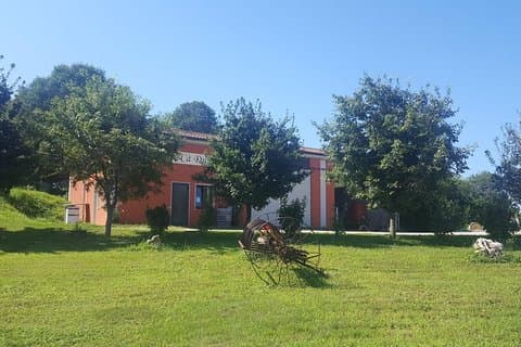 Visit vineyards, cellar and barrel cellar. Tasting of 5 wines