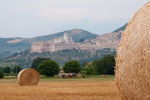 Dégustation de vins de Montepulciano et excursion privée d'une journée à Assise au départ de Rome