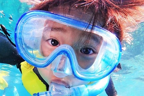 Charter Snorkeling (in de buurt van Churaumi Aquarium) Gratis fotocadeau