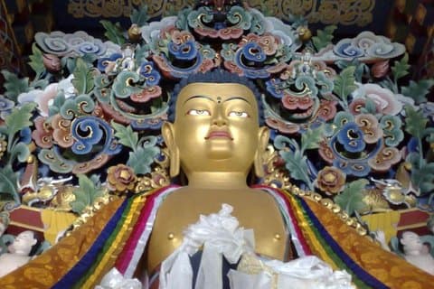 Två dagar kulturell rundtur i Bodhgaya från Varanasi