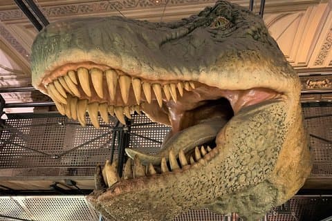 Mamma Mia! Oplev dinosaurerne på London Natural History Museum Tour for Kids