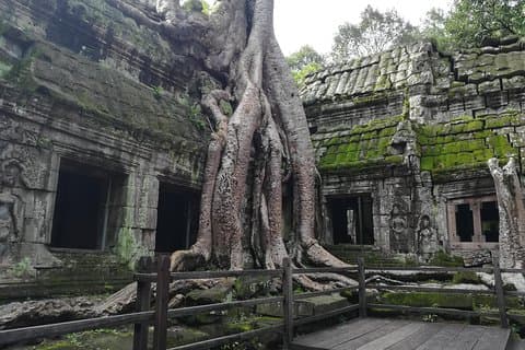 Tour privado de medio día al amanecer en Angkor Wat