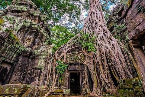 Visite à pied privée des temples d'Angkor au départ de Siem Reap - Prise en charge / retour gratuit à l'hôtel