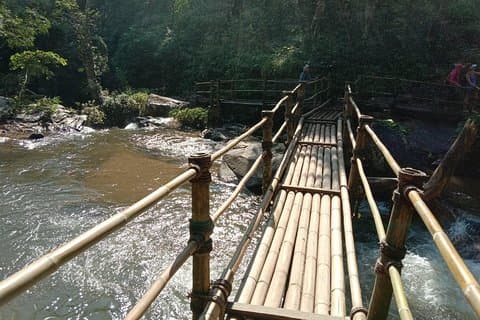 Randonnée matinale Doi Inthanon Plus Pachor le Grand Canyon