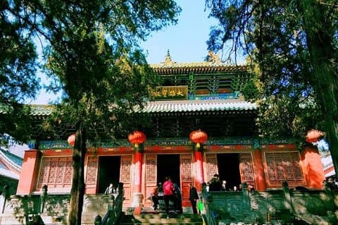 Privat dagstur Longmen-grotter og Shaolin-tempelet