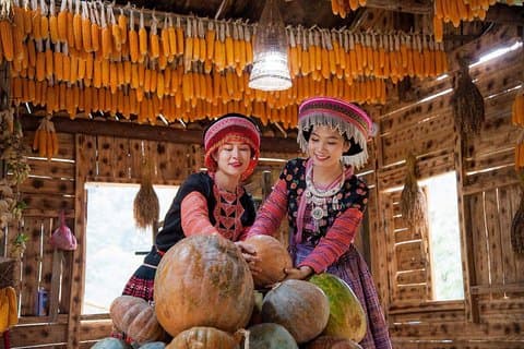 Sapa-Touren