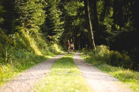 Panorama Hike through the Black Forest guided by a Local