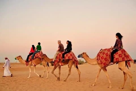 Desert Safari With Camel Ride