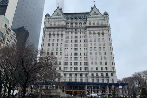 Tour privato a piedi: 5th Avenue e Gilded Age Mansions