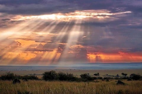 6 Days Maasai Mara/Nakuru/Amboseli Group Safari