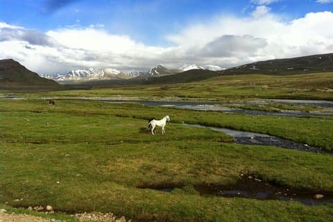 9 Days Tour to Skardu, Deosai, Rama meadows From May to October