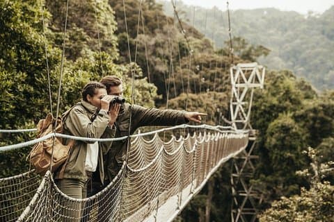 Visita al Parque Nacional Nyungwe