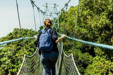 Itinerário personalizado de 2 dias no Parque Nacional Nyungwe (rastreamento de chimpanzé)