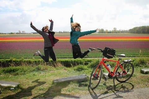 Tour País das Tulipas