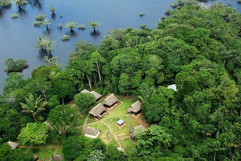 Cuyabeno-reservatet: 5-dagars expedition i Amazonas