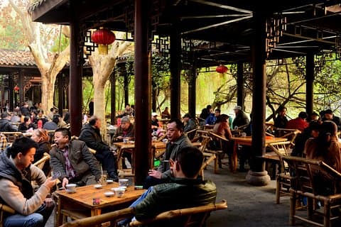 Flexible private 4 Stunden Chengdu Highlights Layover Tour