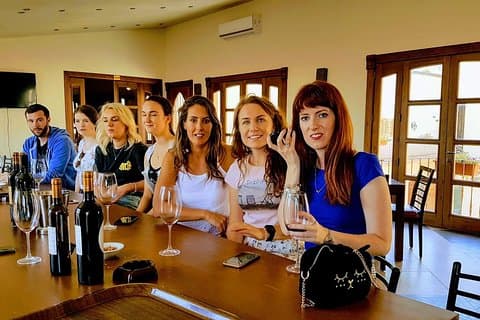 Private Bekaa Valley Wine Tour | 3 Wineries · Guided from Beirut
