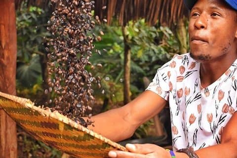 Wasserfälle, Kaffee, heiße Quellen, kulinarische Spezialitäten und Serval-Wildtiere