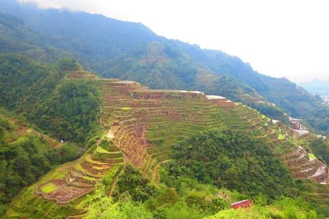 Banaue risterrasser eventyr (3 dage 2 nætter) fra Manila***