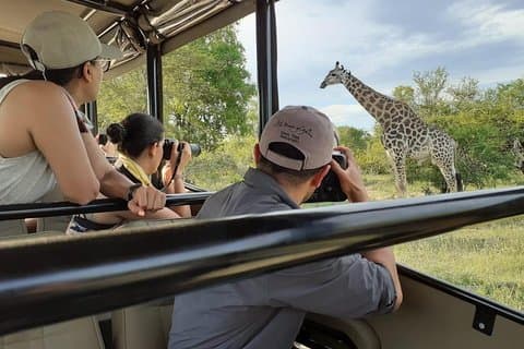 Kruger National Park Full Day Tour Minimum 2people