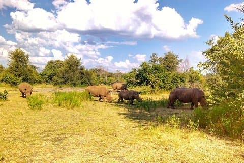 Pirschfahrt in den Musi Otunya National Park