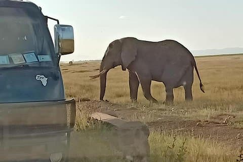 Safari de 7 dias Salt-Lick