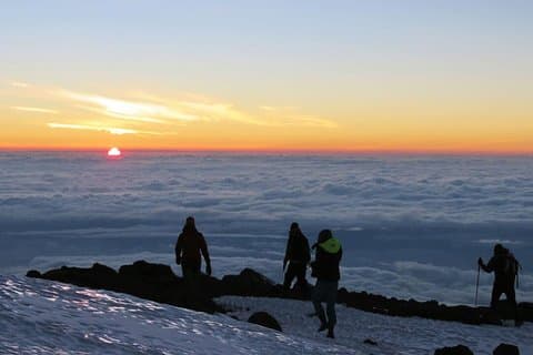 Mount Kilimanjaro 8-dagen; Lemosho-route