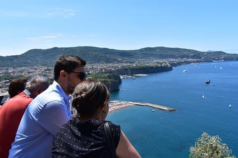Lo mejor de Campania en 1 día: tour privado de Pompeya, Vesubio y Sorrento