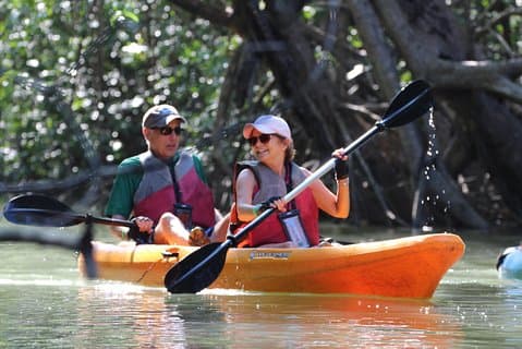 Excursion en kayak dans la mangrove de l'île de Damas au départ de Manuel Antonio