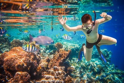 Lands endelige opdagelse af snorkling