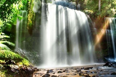 Mount Field Day Tour Private Charter Service ( 3 days in advance）