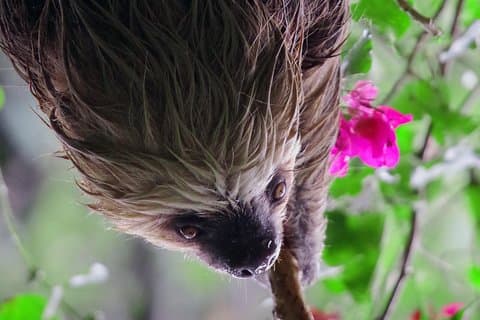 Zauberhafte Nachtwanderung in Monteverde