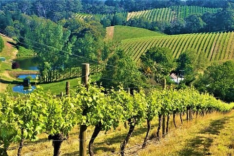 Adelaide Hills Private Tagestour
