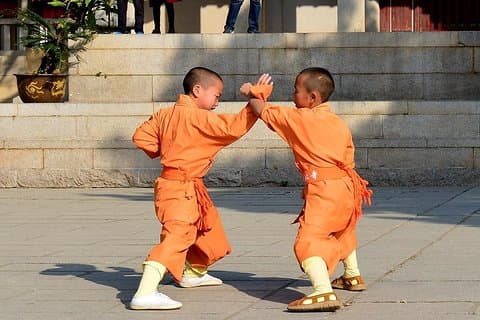 Luoyang privat dagstur til Shaolin Temple og Longmen Grottoes