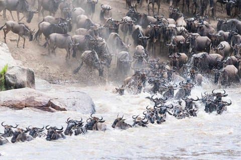 3 days Ngorongoro-Lake Manyara
