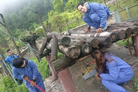 1-dagars Dujiangyan-turné: Panda Volunteer Program och Mount Qingcheng