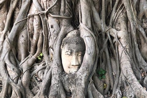 Ayutthaya One Day Tour går med buss - tillbaka av River Cruise - Grand Pearl Cruise