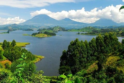 Safari a los parques nacionales de Kibaale Forest, Queen Elizabeth y Lake Mburo