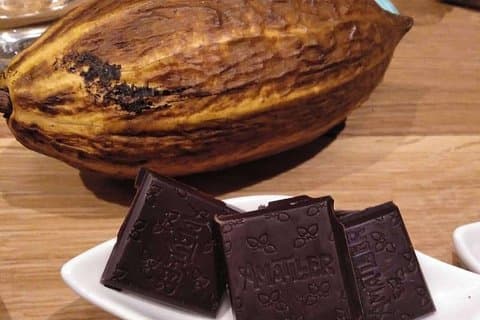 Sala de degustação de chocolate e visita aromática à fábrica de cacau perto de Barcelona