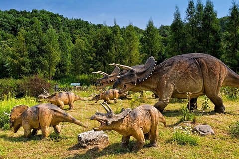 Leba Dinosaur Park - 10h private trip