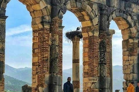 Dagstur till: Volubilis / Moulay Idriss / Mekness