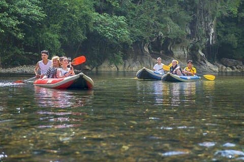 Khao Sok National Park Jungle Safari Full Day Tour from Phuket