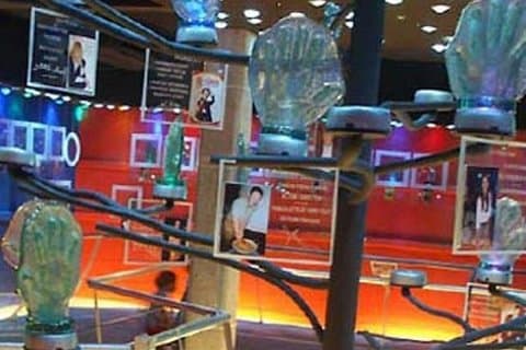 Ganztägige Südtour - Glasgalerie, Krokodilpark, Teefabrik, Gris Gris usw ..