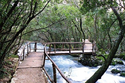 Visite privée d'une demi-journée de Cavtat et du district de Konavle