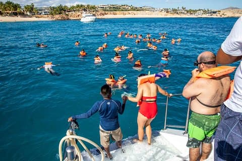Snorkel Boat and City Shopping Tour