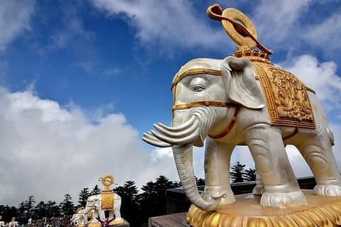 2日間のプライベートツアー：成都からの楽山大仏とE眉山