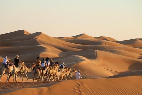 Wahiba Sands Safari med Wadi svømming og Camelride